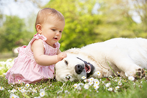Baby and dog